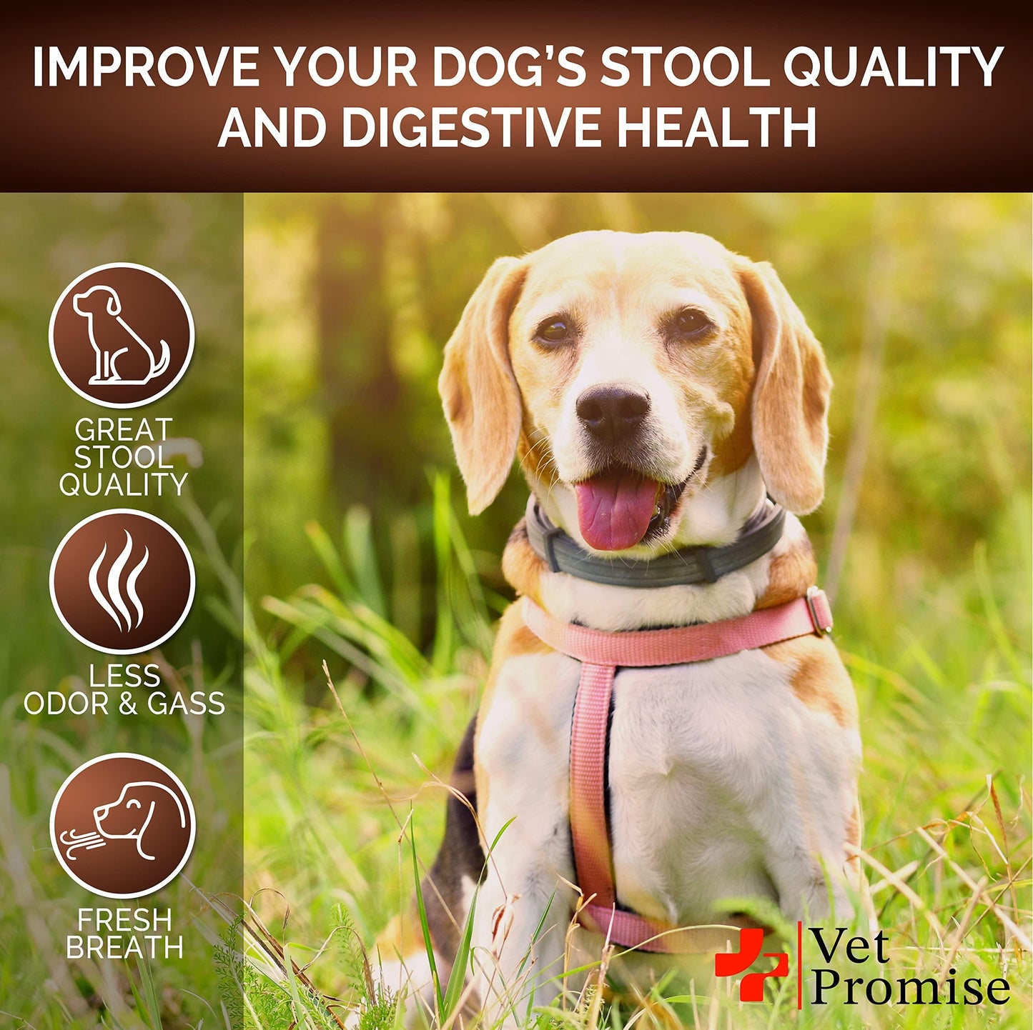 Dog Probiotics & Digestive Enzymes - Fiber Supplement for Firm Stool | Relieves Diarrhea, Gas & Constipation