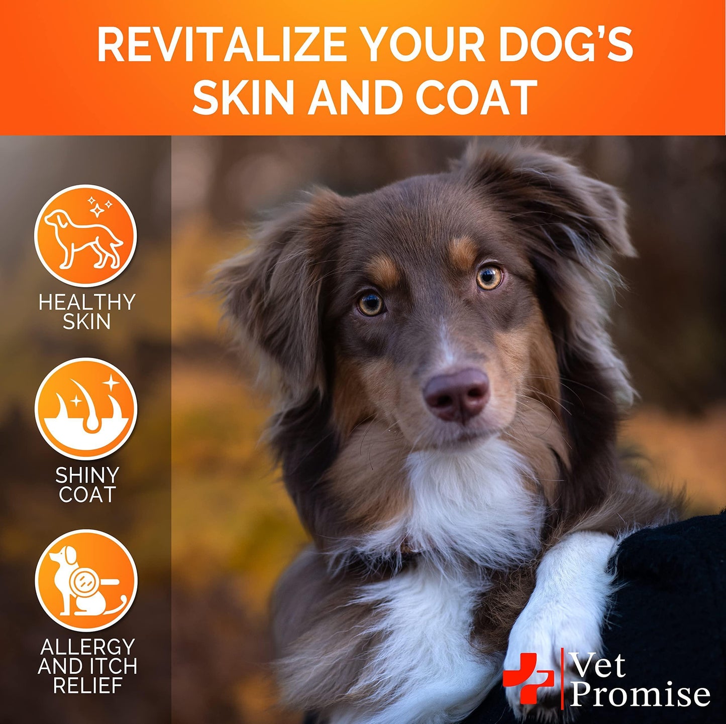 Omega-3 Fish Oil for Dogs - Salmon Oil Skin & Coat Supplement | Allergy Relief, Anti-Shedding & Itch Support