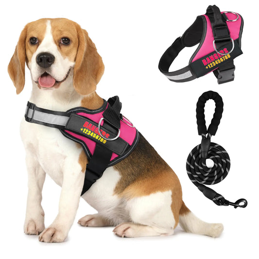 Personalized No-Pull Dog Harness with Custom Name & Phone - Reflective, Breathable, Easy Walk Harness with Leash Set
